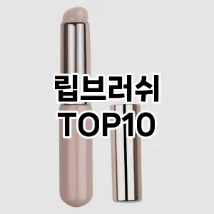 립브러쉬 추천 순위  TOP10 구매가이드 2025년 7월 3주차