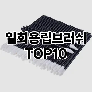 일회용립브러쉬 추천 순위  TOP10 구매가이드 2025년 7월 4주차